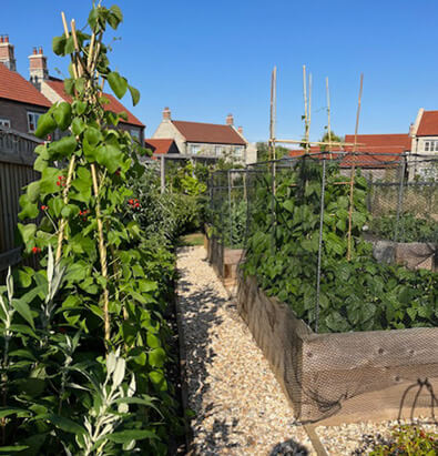 L&D Gardening Club