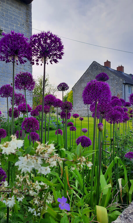 L&D Gardening Club